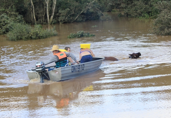 Rescue in progress